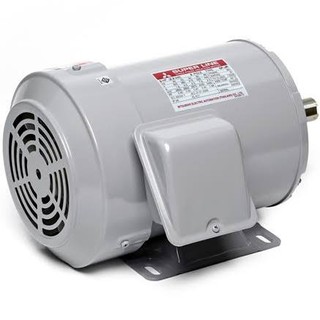 MITSUBISHI มอเตอร์ MITSUBISHI รุ่น SF-JR ชนิดหุ้มมิด กำลัง 1 แรงม้า (0.75 กิโลวัตต์) 3 เฟส 220/380 โวลต์(M151-0630)