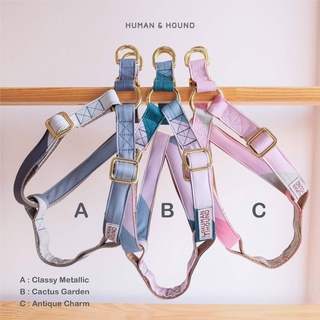 สายรัดอกสุนัข Human and Hound - Dog Harness Geometricism Set3