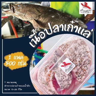 เนื้อปลาเก๋าทะเล ขนาด 10กิโลขึ้นไปแล่เนื้อ ปลาเก๋ายักษ์ เก๋าสด อาหารทะเล เนื้อปลาเก๋าสด