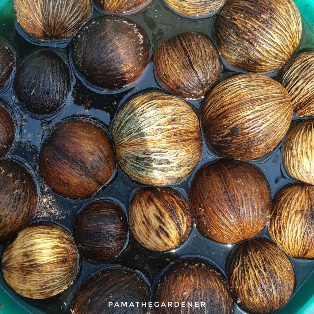 มุมมอง 4