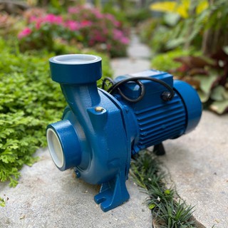 เครื่องสูบน้ำ ปั้มสูบน้ำไฟฟ้า  หอยโข่ง อิตาลี่  MITSUROMAR ข…