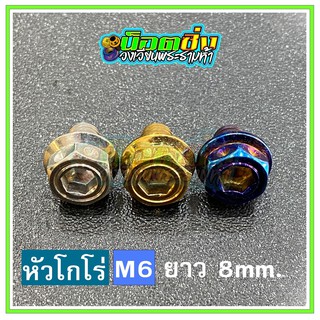 น็อตสแตนเลส หัวโกโร่ ขนาดเกลียว m6 ยาว 8 mm.