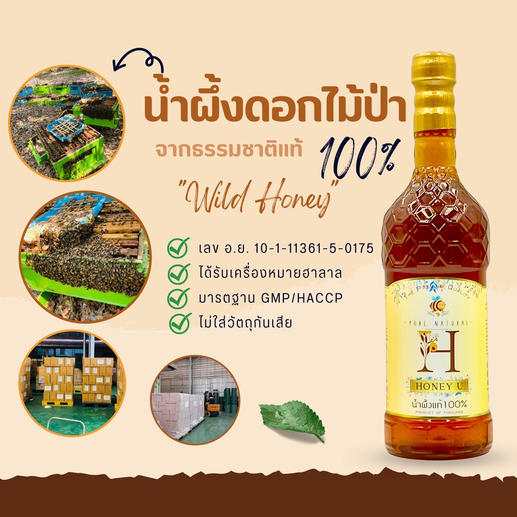 (โปร6แถม6 ยกลัง) น้ำผึ้งแท้100% น้ำผึ้งป่าเดือนห้าคัดพิเศษ เกรดพรีเมี่ยม