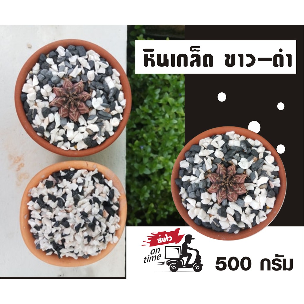 My Image 23