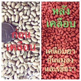 ถั่วฝักยาวเพชรหยกพลัส(500 กรัม)ประมาณ3000เมล็ด)