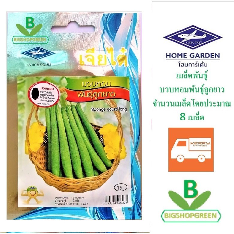 เมล็ดพันธุ์ บวบหอมพันธุ์ลูกยาว ตราเจียไต๋ เมล็ดผัก เมล็ดพันธุ์พืช เมล็ดพืช เมล็ดพันธุ์ผัก เมล็ดผักสวนครัว
