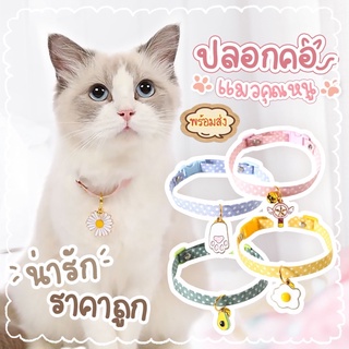 พร้อมส่ง🎀#ปลอกคอแมว#สายคล้องคอแมวน่ารักๆ#ปลอกคอแมวคุณหนู