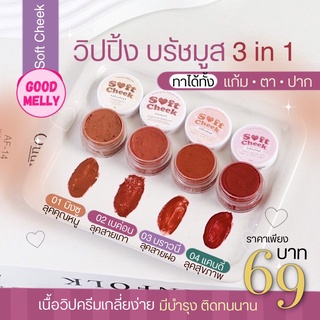 วิปปิ้ง บรัชมูส เม็ดสีแน่น บรัชเนื้อแมท กันน้ำ ทาได้ทั้ง แก้ม ตา ปาก Soft Cheek Lip