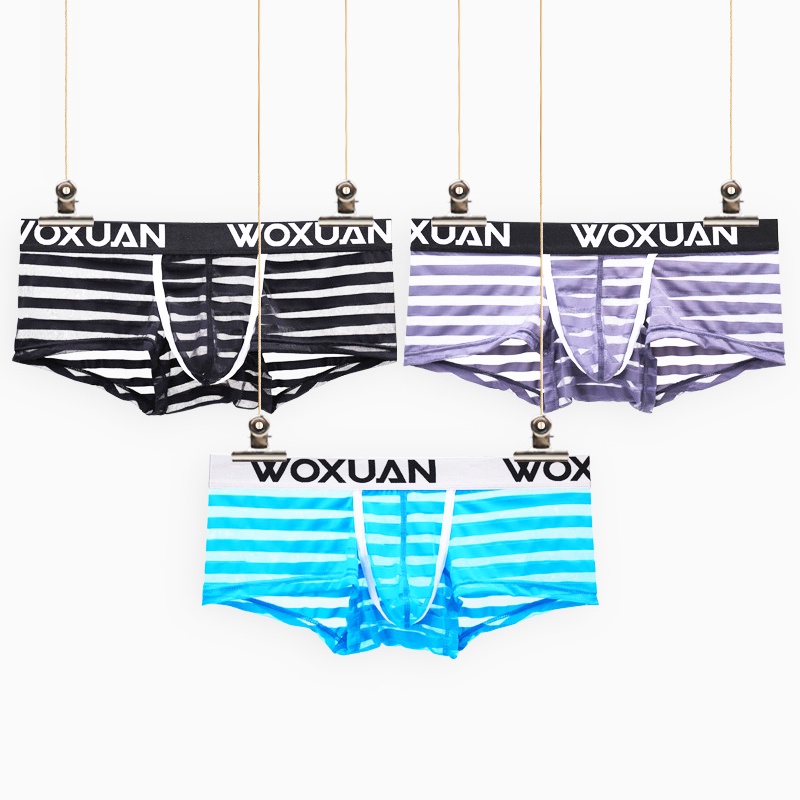 Hot Sexy Striped Men's Mesh Boxers Low Waist Ultra-thin Sexy Breathable Mens Underwear Panties #4