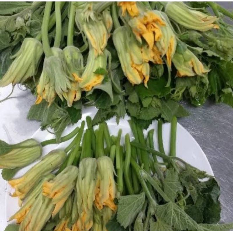 เมล็ดพันธุ์ฟักทองเก็บยอด (สำหรับเก็บยอดโดยเฉพาะ) - รูปที่ 2