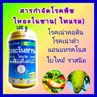 ไธอะโนซาน ไทแรม กำจัดโรคพืช ที่เกิดจากเชื้อรา ขนาด 500g โรคเมล็ดเน่า โรคแคงเกอร์ โรคราสนิม โรคเน่าดำ โรคใบจุด แอนแทรคโนส