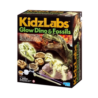 [ใช้ 2 โค้ดลดเพิ่ม] 4M  Kidz Labs - Glow Dino &amp; Fossils ชุดของเล่นนักโบราณคดี ขุดซากฟอสซิล ไดโนเสาร์ ช่วยเสริมสร้างจินตนาการ