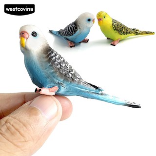 west forest parrot โมเดลสัตว์ขนาดมินิสําหรับประดับตกแต่งสวน