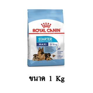 Royal Canin MAXI STARTER อาหารสุนัข (แบบเม็ด) สำหรับแม่และลูกสุนัข พันธุ์ใหญ่ ขนาด 1 KG.