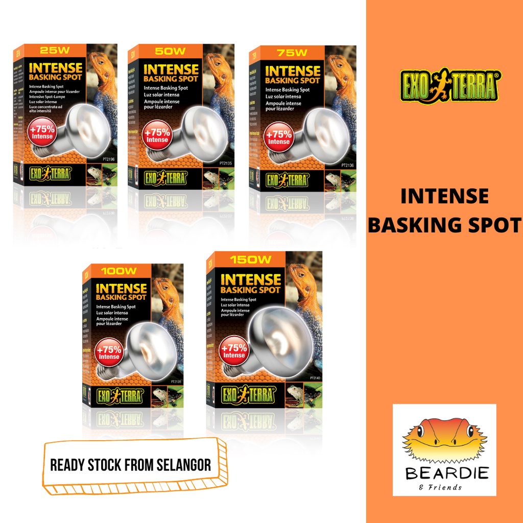 EXO TERRA INTENSE BASKING SPOT REPTILE UVA BULB 25W/50W/75W/100W/150W (PT2196/PT2135/PT2136/PT2138/P