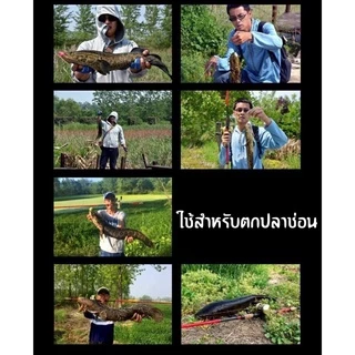 คันเบ็ดตกปลาพร้อมรอก ชุดรอกและคันเบ็ดรอกตกปลา รอกตกกุ้ง คันเบ็ด เบ็ดตกปลา รอกเบ็ด ชุดเบ็ดพร้อมตกมีของแถม สินค้าส่งจากไทย