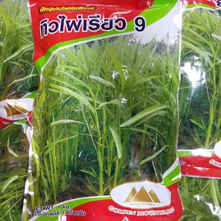 ******​เมล็ดผักบุ้งจีนใบไผ่ ตราภูเขาทอง ขนาด 1 กิโลกรัม********