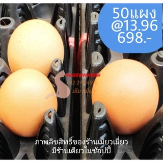 พร้อมส่งของใหม่ แผงไข่เล็ก ยกชุด1แพค(50แผง) ขนส่งธรรมดาออเดอร์1แพค ถ้า2แพคใช้ขนส่งขนาดใหญ่ ลังไข่ ผลิตในโรงงานไทย