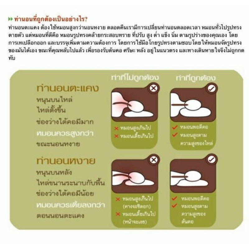 โปรแพค L+ปลอก แถมหมอน S รองรับเยี่ยม หายปวดคอ ปวดบ่า ลดกรน ได้คุณภาพการนอนที่ดี ราคา ถูกที่สุด ดีลบีเคเค แกลเลอรีภาพที่ 7