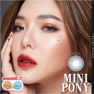 🔥[คุ้มที่สุด]🔥คอนแทคเลนส์แฟชั่นลาย MINI PONY (WINK) ค่าสายตาปกติ บิ๊กอาย MADE IN KOREA (EXP:ปี2025)