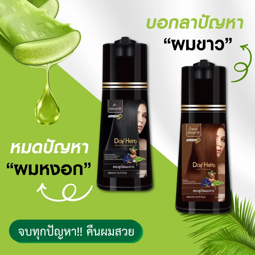 DayHerb  แชมพูปิดผมขาว สมุนไพรแท้ ปิดหงอก ลดหงอก ใน 5 นาที thumbnail 3