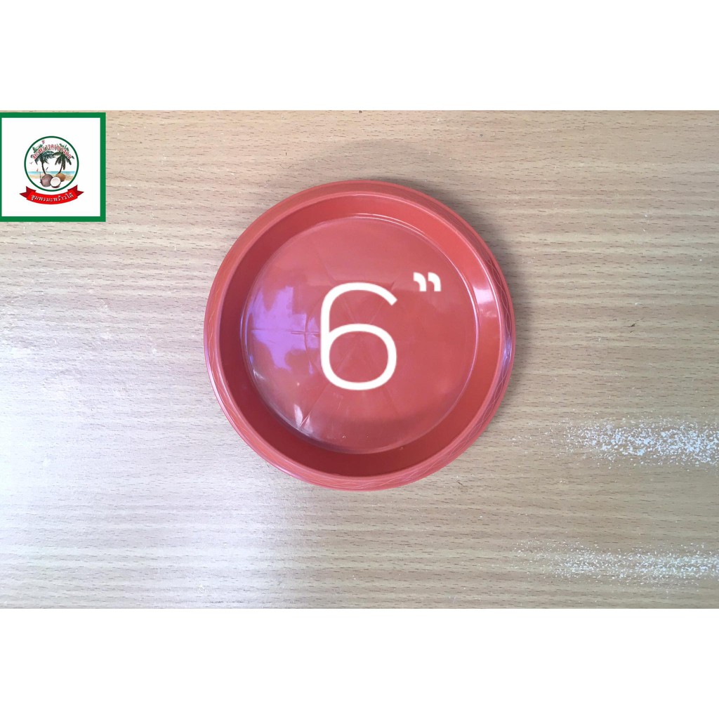 ถาดรองกระถางต้นไม้สีส้ม/จานรองกระถางต้นไม้สีส้ม/Orange Plant pot tray 6 inch