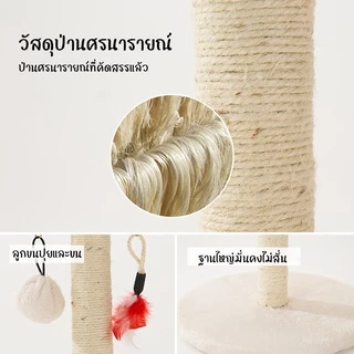 ฝนเล็บแมว กรอบปีนแมว ของเล่นสำหรับน้องแมว คอนโดแมวราคาถูก คอนโดแมว เสาลับเล็บแมว ที่ลับเล็บแมวที่ลับเล็บแมว