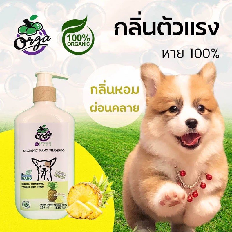 แชมพูหมา ดับกลิ่นตัวแรงหมา กลิ่นสาบหมา หยุดอาการคัน ขนร่วง สูตรสับปะรด |  Shopee Thailand