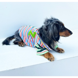 mini woof! POLO เสื้อคู่เจ้าของ-น้องหมาเล็ก/แมว