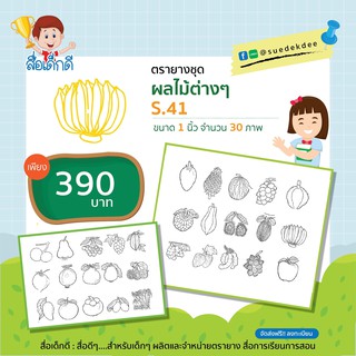 ตรายาง ชุดผลไม้ต่างๆ ขนาด 1 นิ้ว S.41 จำนวน 30ภาพ