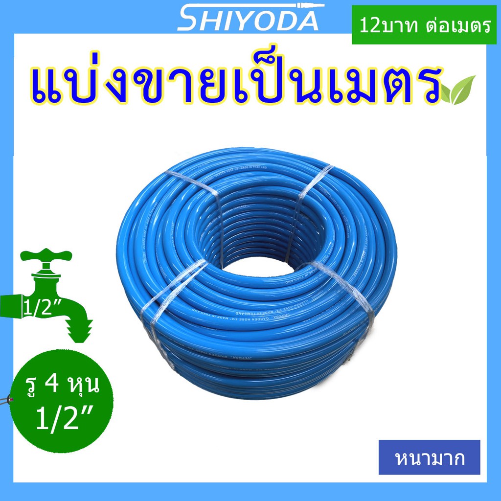 รูปภาพ 8