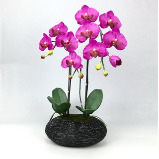 OrientalFineArt ดอกกล้วยไม้ปลอม phalaenopsis จัดในกระถางดินเผา(CRJ-155-4048-B F17)