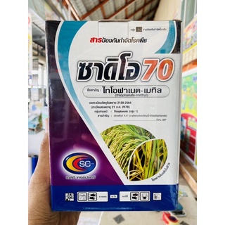 ซาดิโอ้ 500 กรัม 🔴 ไทโอฟาเนต 70% สารป้องกันและกำจัดเชื้อราในกุหลาบ🌷ยาฆ่าเชื้อรา โรคในข้าว ใบไหม้ ใบจุด ยาป้องกันเชื้อรา