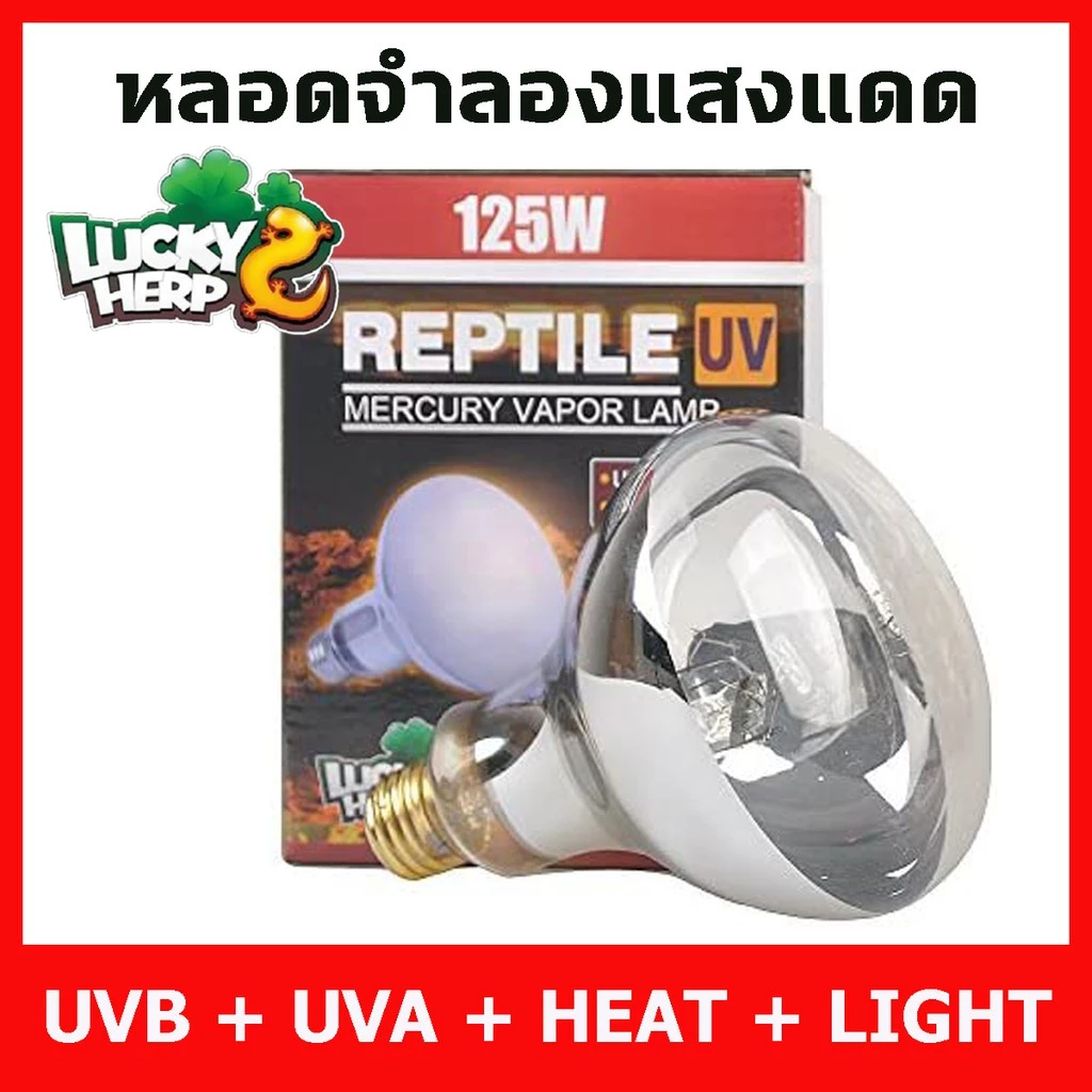 Lucky Herps UVA UVB Heat Lamp หลอดรวมยูวีและความร้อน ครบทุกอย่างในหลอดเดียว สำหรับสัตว์ทุกชนิดที่ต้องการยูวีทดแทนแสงแดด
