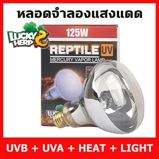 Lucky Herps UVA UVB Heat Lamp หลอดรวมยูวีและความร้อน ครบทุกอย่างในหลอดเดียว สำหรับสัตว์ทุกชนิดที่ต้องการยูวีทดแทนแสงแดด