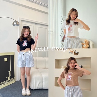 🪄ANIMAL CROP🐈🧺 พร้อมส่ง เสื้อยืดครอป เสื้อครอปลายแมว เสื้อครอปทรงเข้ารูป เสื้อยืดครอบรูปสัตว์ ป้าย honey mood