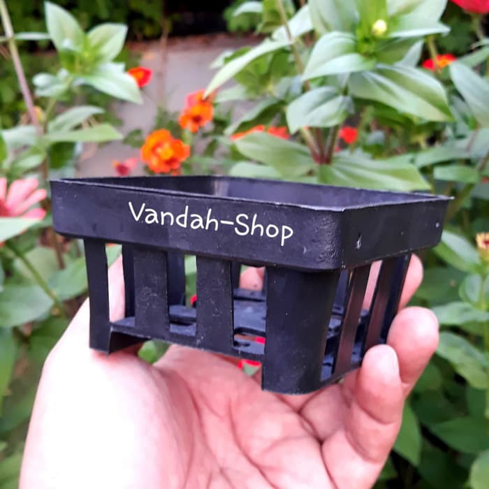 Vanda Orchid Pot Black Square Netpot 10ซม