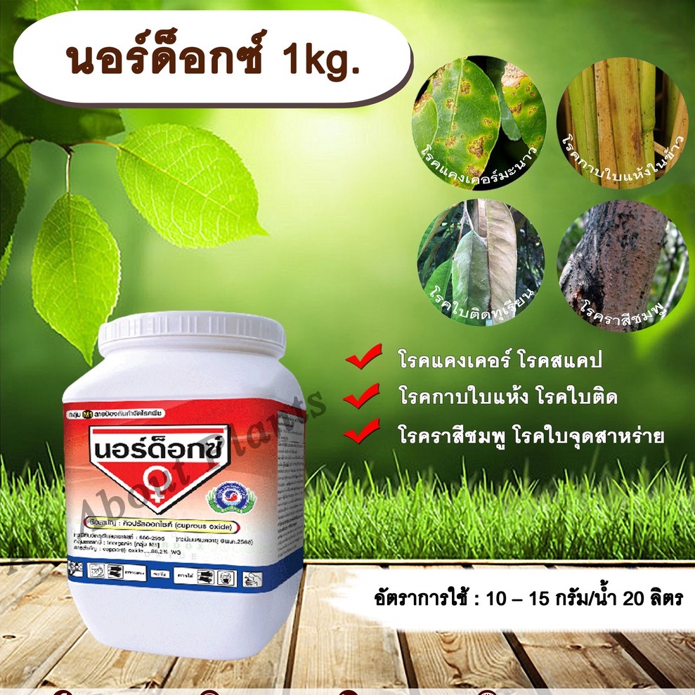 นอร์ด็อกซ์ 1kg. คิวปรัสออกไซด์ ป้องกันโรค กำจัดโรค เชื้อราและแบคทีเรีย โรคแคงเคอร์ โรคสแคป โรคกาบใบแห้ง