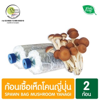 ก้อนเชื้อเห็ดโคนญี่ปุ่น แพ็ค 2 ก้อน Spawn Bag Mushroom Yanagi