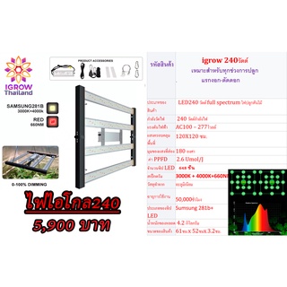 ไฟไอโกล240วัตต์-IGROW240-ไฟ4บาร์