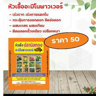 หัวเชื้อปลานิลทอง (5 ซองแถม 1 ซอง) ใบเขียวเข้ม สะสมอาหาร สมบูรณ์แข็งแรง พ่นได้ทุกระยะ ใช้ได้กับพืชทุกชนิด