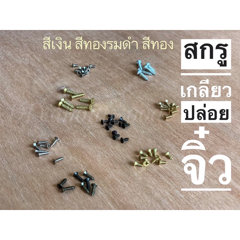 สกรู สกรูเกลียวปล่อย น็อต ขนาดเล็ก จิ๋ว งานDIY สีทอง สีเงิน สีทองรมดำ 100 ตัว