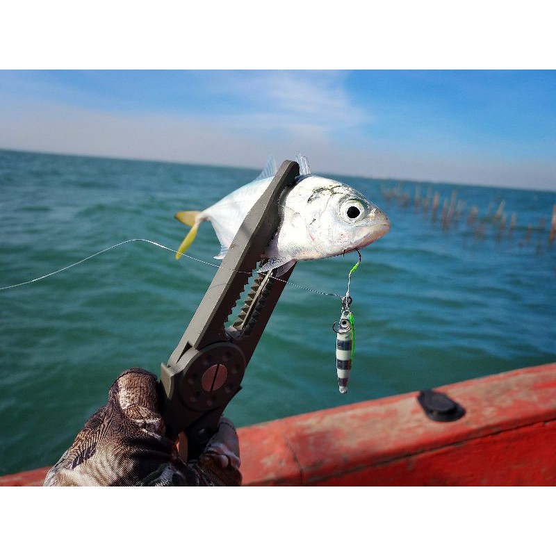 เหยื่อไมโครจิ๊กทรงยอดนิยมม้าลายเรืองแสงไมโครจิ๊ก5-30 กรัมmicrojig5-30 g ราคาประหยัด ราคาถูก ใช้ได้ผลดี ราคา ถูกที่สุด ดีลบีเคเค แกลเลอรีภาพที่ 7
