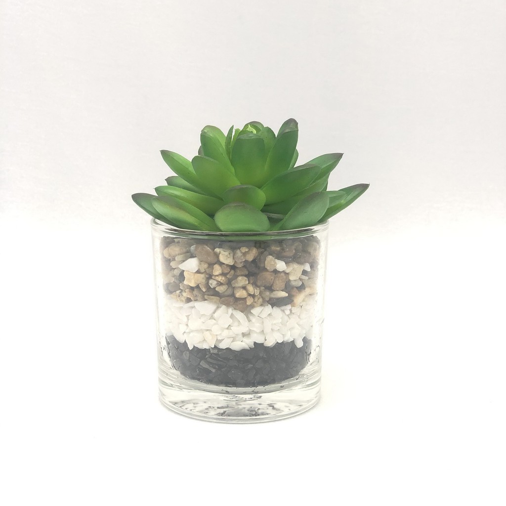 OrientalFineArt กุหลาบหินปลอม Echeveria plant แต่งด้วยหิน3สี3ชั้น พร้อมแก้ว สำหรับวางประดับตกแต่ง(G-