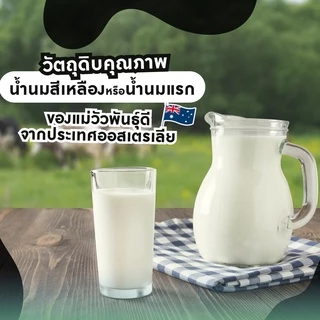 (แพ็ก 1 กระปุก) Milky Tablet Plus Colostrum (บรรจุ 60 เม็ด)
