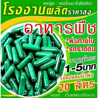 🌿💥แค็ปซูลเขียวนาโน239.-/100แค็ป💥🌱ฮอร์โมนพืชทางใบและดิน..🎉(โปรโมชั่นส่งด่วนรอ2-3วัน🔖💥(ราคาโรงงาน)💥🔖