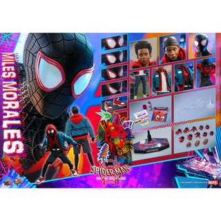 พร้อมส่ง ฟิกเกอร์ โมเดล ของสะสม Hot Toys MMS567 Spider-Man Into the Spider-Verse 1/6 Miles Morales