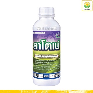 ลาโตเน่ ขนาด 1 ลิตร โพรคลอราช40%+โพรพิโคนาโซล+9% EC ใช้ป้องกันกำจัด แอนแทรคโนส สแคป เมลาโนส ราใบติด