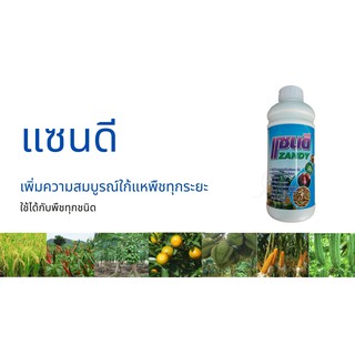 แซนดี ธาตุอาหารรอง-เสริมที่สำคัญสำหรับพืช ส่งเสริมการเจริญเติบโตทุกระยะ ใช้ได้กับพืชทุกชนิด 1ลิตร 450บาท