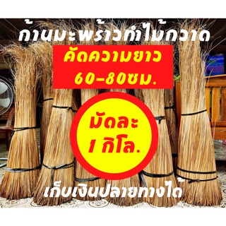 ก้านทางมะพร้าวทำไม้กวาด ยาว 60ซม ถึง 80ซม 1 กิโลกรัม ก้านเหลาใหม่ ไม่ผุ ไม่ชื้น ไม่ขึ้นรา เก็บเงินปลายทางได้